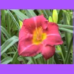 God's Perfection.jpg